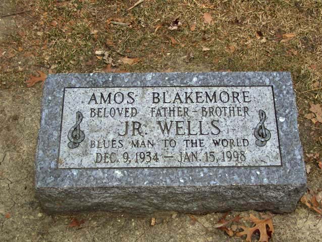 Oak Woods Cemetery, Chicago, Illinois - "Our Man on the South Side" - Jake Freeman - January 2008